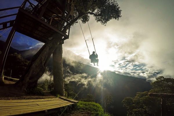 Swings, ziplines, and other fun elements can be a true treat for guests