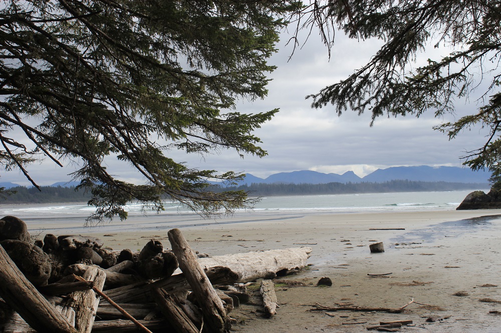 tofino2