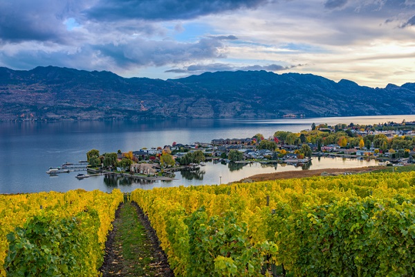 Okanagan Valley vineyards promise great views of BC’s natural splendour