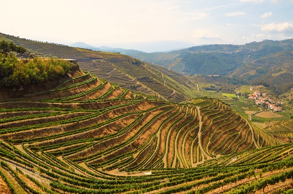 Portugal’s Douro Valley is among the top wine regions in Europe