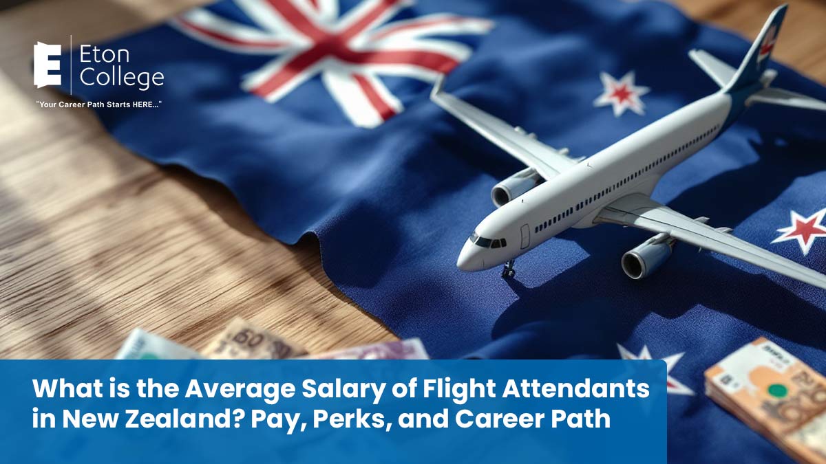 What is the Average Salary of Flight Attendants in New Zealand Pay, Perks, and Career Path